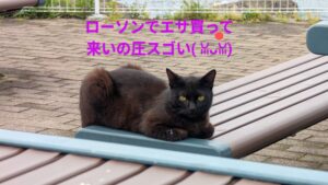 圧がすごい(⁠✷⁠‿⁠✷⁠)