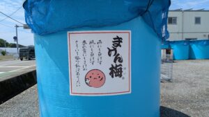 まけん梅(。-`ω´-)
