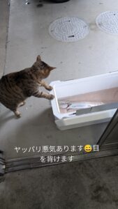 自覚アリ(￣∇￣)